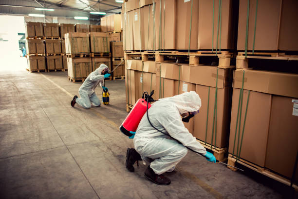 Best Pest Control Near Me  in Byram, CT