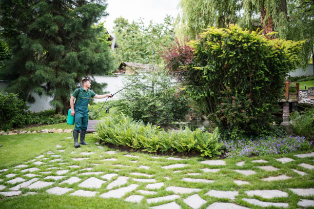 Best Affordable Pest Control Services  in Byram, CT