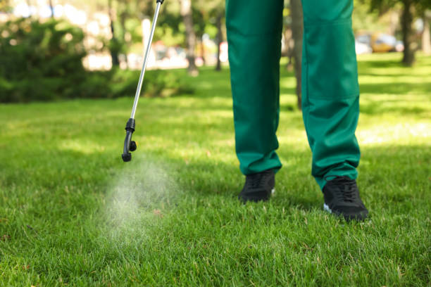Best Best Pest Control Companies  in Byram, CT