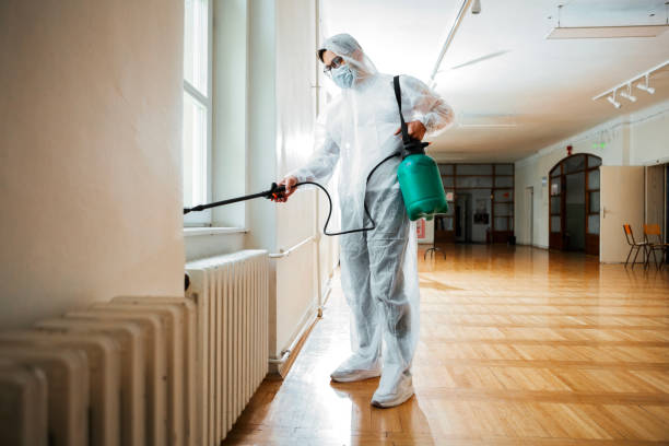 Best Rat Extermination Near Me  in Byram, CT