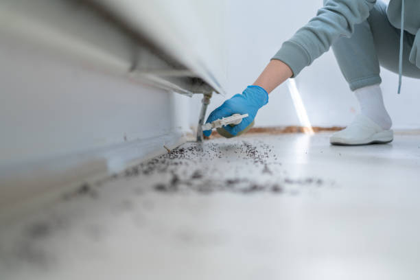 Best Pest Removal Services  in Byram, CT